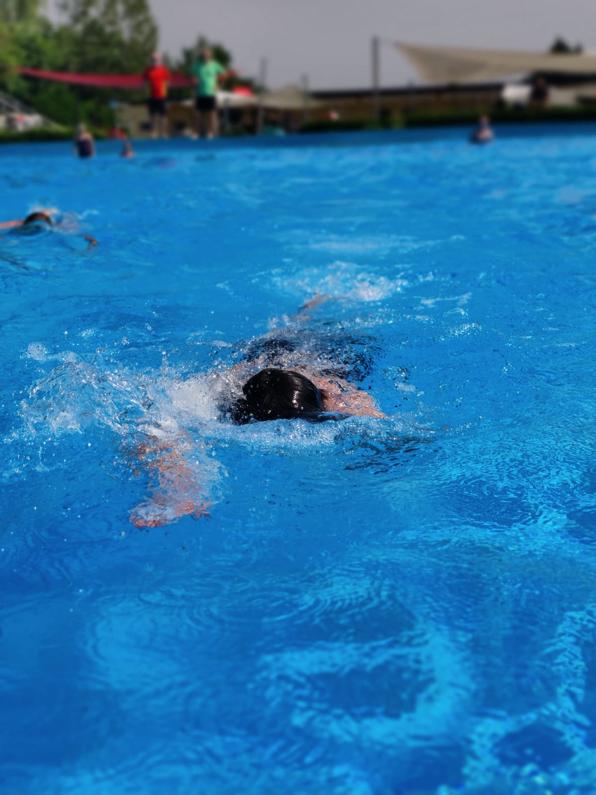 Schwimmer beim Training im Schwimmbecken